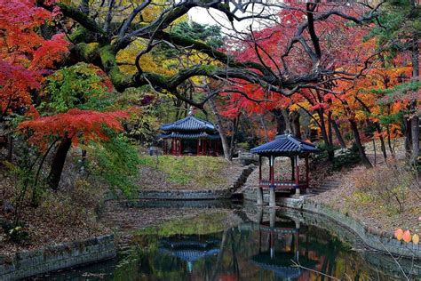 The Secret Garden is located at Changdeokgung Palace in Seoul, South Korea and is designated an ...