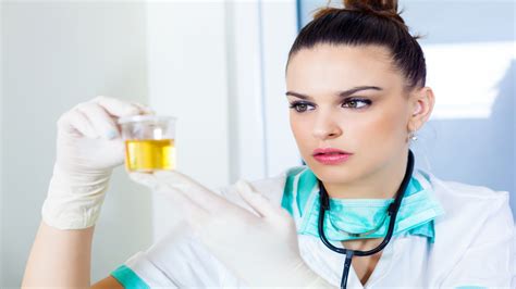 Urinalysis Normal Values - Health Hearty