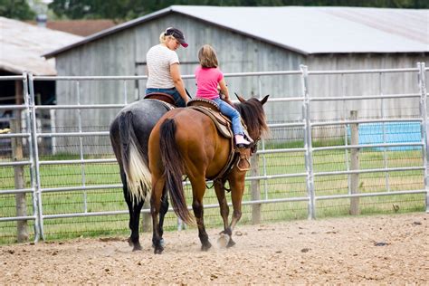 Los Livingstons: Horseback riding lessons