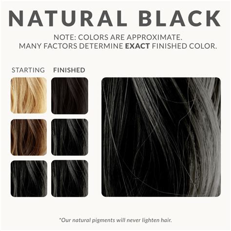 Natural Black Henna Hair Dye | Henna Color Lab®