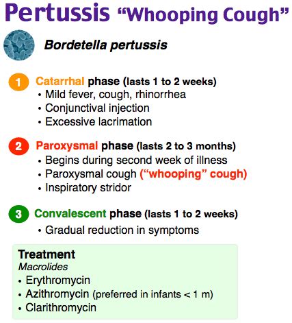 Understanding Bordetella Pertussis: Causes, Symptoms, And Treatment - Ask The Nurse Expert