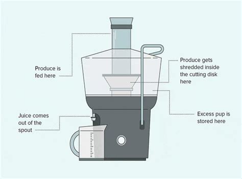 Masticating vs Centrifugal Juicer: The Difference Explained [Upd. 2022]