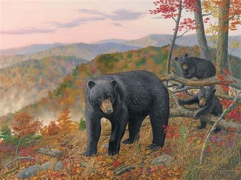 Black Bear Wall Decor Large Wall Art Print Large Bear