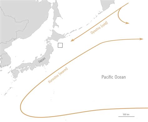 ESA - Oyashio and Kuroshio Currents