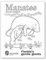 47  Free Printable manatee coloring page DarrylEzmae sketch template