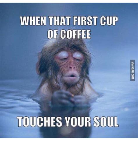 Pin by Lora on Funnies | Funny good morning memes, Funny coffee quotes ...