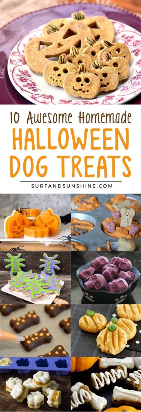 10 Awesome DIY Halloween Dog Treats You Can Make Yourself | Healthy dog treats homemade, Pet ...