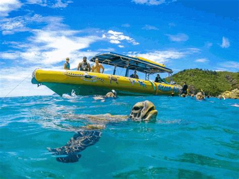 Whitsundays Trips From Airlie Beach | Whitsunday Islands Tours