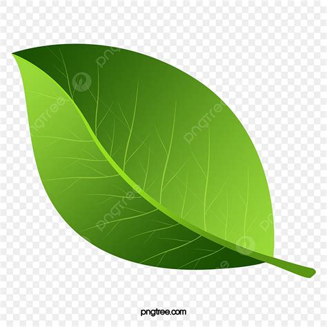 Leaf Texture PNG Image, Green Leaf Texture Painted, Leaf Clipart, Hand Painted Leaves, Green ...