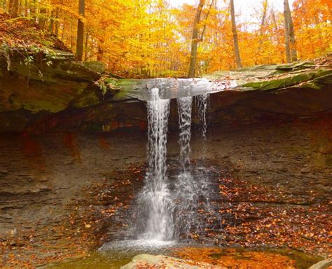 A small waterfall flows over a rock ledge in a forest showing bright ...