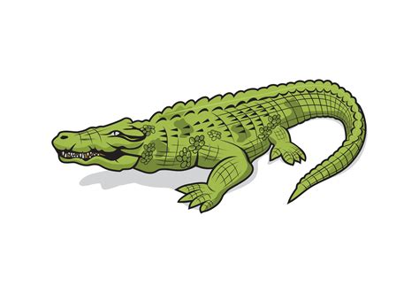 Alligator crocodile cartoon character design 2285652 Vector Art at Vecteezy