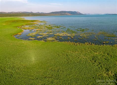 Vrana Lake - Dalmatia’s kingdom of birds - Explore Croatia