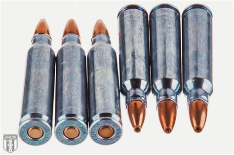 22-250 vs 223: Hunting Caliber Comparison by Ammo.com