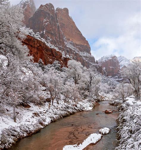 5 Things To Do In Winter At Zion National Park | Zion Ponderosa