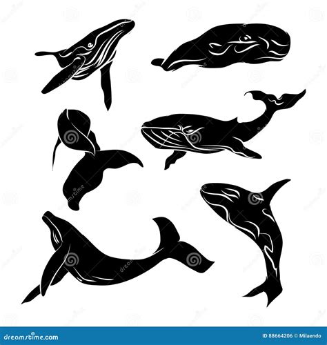 Big Whale Silhouette Vector Illustration Stock Vector - Illustration of swimming, robust: 88664206