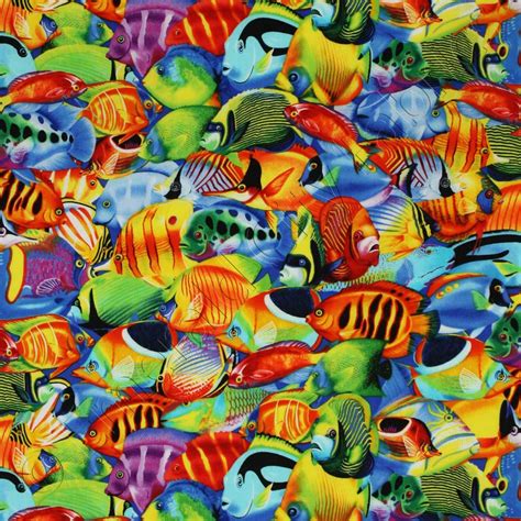 Timeless Treasures Tropical Fish Multi Fabric | Emerald City Fabrics