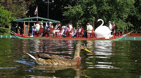 Joe's Retirement Blog: Swan Boats, Public Garden, Boston, Massachusetts, USA