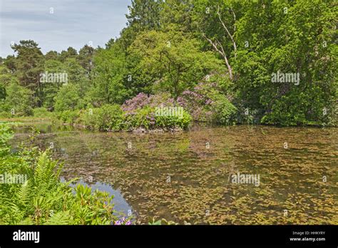 Far Lake, Craig-y-Nos Country Park, Pen-y-cae, Brecon Beacons National ...