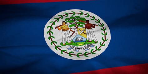 The Belize Flag