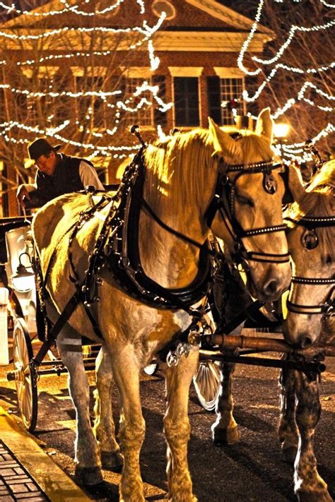 6 Things to do in Dahlonega This Holiday Season - Consolidated Gold Mine