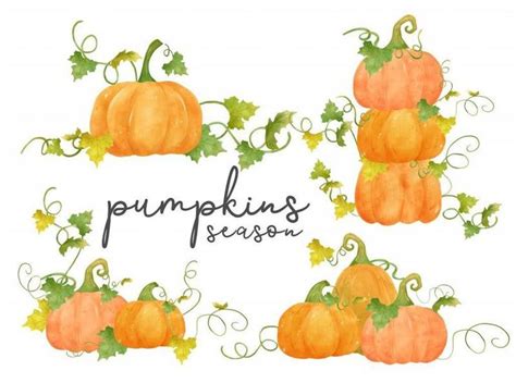 watercolor pumpkins with vines and leaves around the words pumpkin season on a white background