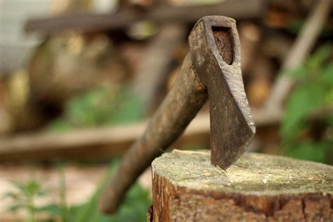 Free Images : work, tree, forest, branch, wood, old, tool, steel, wildlife, log, green ...