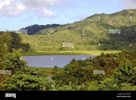 Grenada island - Grand Etang National Park - Grand Etang Lake Stock ...