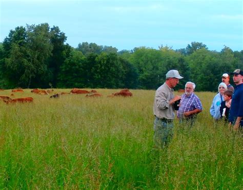 Farm Tours – Green Pastures Farm