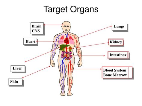 PPT - TINGKAT KEBAHAYAAN LIMBAH B3 PowerPoint Presentation, free download - ID:4208483