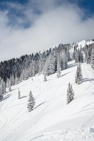 Find The Best Snowmobiling In Heber Valley | Visit Utah