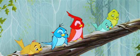 hkn haven: Hkn Rob And Kristen Update: Birdies Are Chirping!