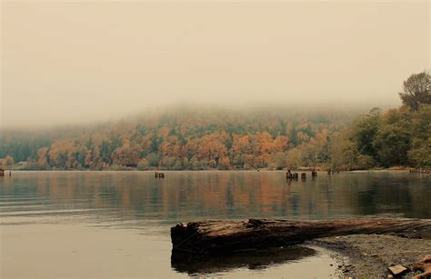 Foggy Fall Morning on the Lake ~ Nature Photos on Creative Market