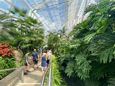 Visiting the Niagara Parks Butterfly Conservatory: One of the Largest Glass-enclosed Butterfly ...