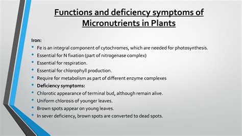 SOLUTION: Function of and deficiency symptoms of micronutrients 2 - Studypool