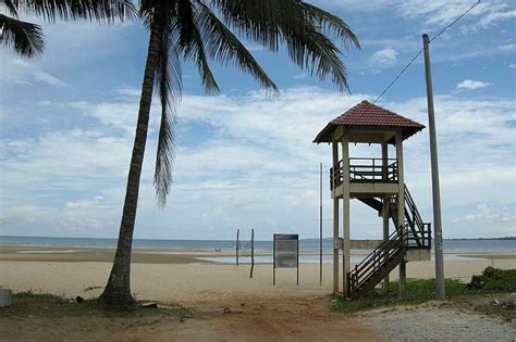 Cherating, Pahang (Malaysia) - Surfing, Wildlife Watching - Holidify