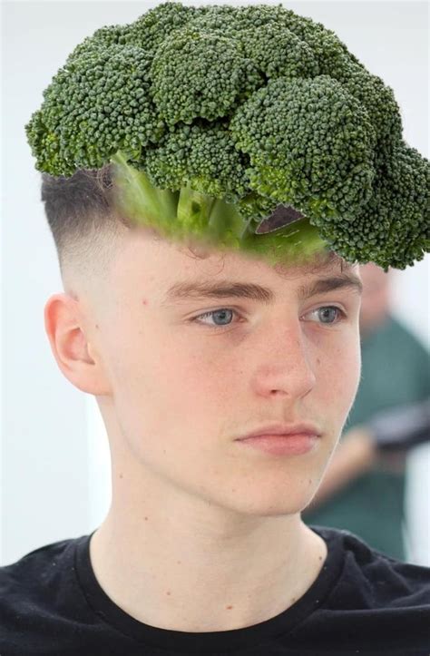 The "Broccoli Haircut" | Bird's Nest Haircut / Broccoli Haircut / Zoomer Perm | Know Your Meme