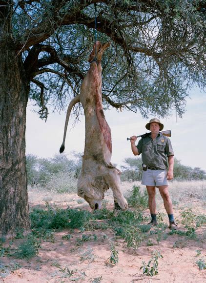 Conservation Ecology: Trophy hunting