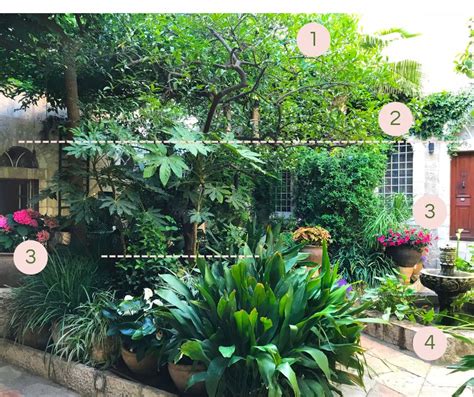 Secrets to stunning small tropical garden design + photos