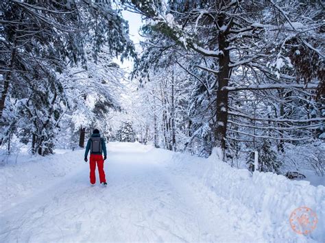 How To Plan A Muskoka Winter Weekend Getaway - Going Awesome Places