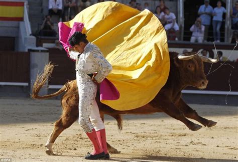 The bull is mightier than the sword: Spanish matador tossed into the air like a ragdoll after ...