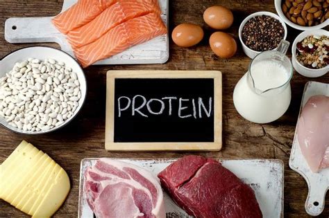 Protein Calculator For Weight Loss | Free, Simple, Easy-To-Use