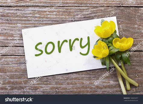 Yellow Flowers Card Lettering Sorrysorryflowers Stock Photo 148925477 ...