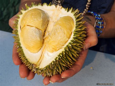 3 Places To Find Durian in Kuala Lumpur All Year