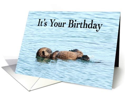 Adorable Otter Happy Birthday card (1598144)