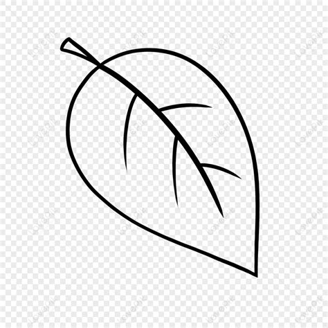 Leaves Outline PNG Images With Transparent Background | Free Download ...