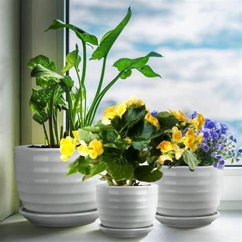 Best Flower Pots that Enhances your Indoor House