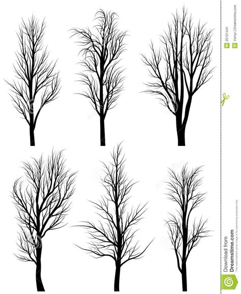 Silhouettes Of Birch Trees Without Leaves. - Download From Over 55 ...