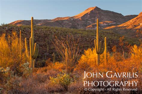 Southwestern Landscapes