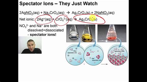 Chapter 09 - 12 - Spectator Ions - They Just Watch - YouTube