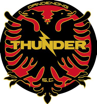 Dandenong Thunder SC Logo Download png